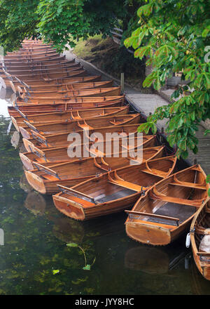 Rowing boast for hire on the River Stour in Dedham, Essex Stock Photo