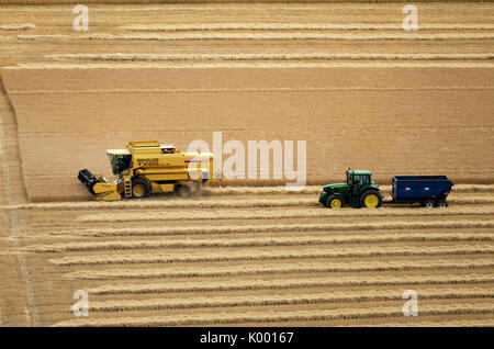 A combine harvester working in a wheat field near North Berwick East Lothian. Stock Photo