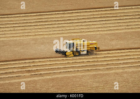 A combine harvester working in a wheat field near North Berwick East Lothian. Stock Photo