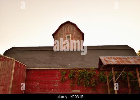 An old, weathered barn, shed and canopy on a farm in northeastern Illinois. Stock Photo