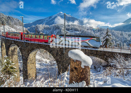 Bernina Express passes through the snowy woods Filisur Canton of Grisons Switzerland Europe Stock Photo