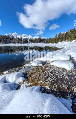 Woods and snowy peaks are reflected in the clear water of Palù Lake Malenco Valley Valtellina Lombardy Italy Europe Stock Photo