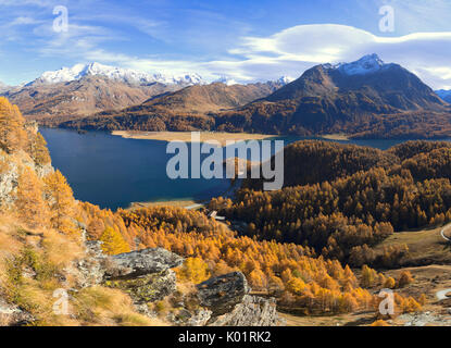 Panoramic of the colorful woods around Lake Sils in autumn Plaun da Lej Upper Engadine Canton of Graubunden Switzerland Europe Stock Photo