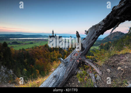 Dusk lights on Neuschwanstein Castle surrounded by colorful woods in autumn Füssen Bavaria Germany Europe Stock Photo