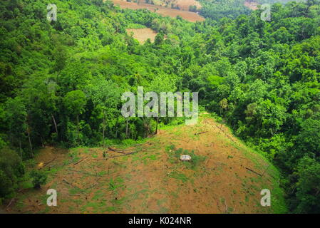 Tree Encroachment Succession or encroachment of trees into a clearing Stock Photo - Alamy