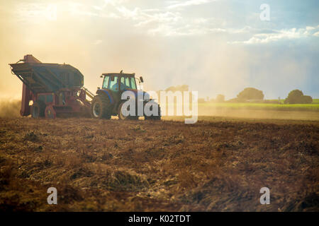 Peanut tractor Stock Photo