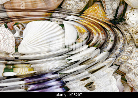 Water ripples above sea shells - digitally altered Stock Photo