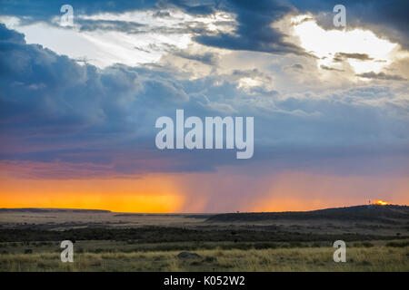 Panoramic landscape view: grey storm clouds gather over the savannah with impending rain at sunset, Masai Mara, Kenya Stock Photo