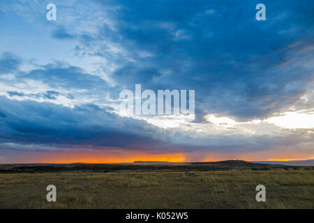 Panoramic landscape view: grey storm clouds gather over the savannah with impending rain at sunset, Masai Mara, Kenya Stock Photo