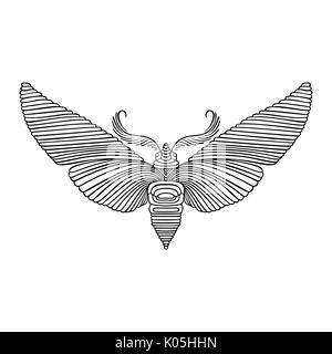 Night butterfly adult coloring book. Vector illustration. Anti-stress coloring. Zentangle style. Black and white sketch. Vector illustration. Stock Vector