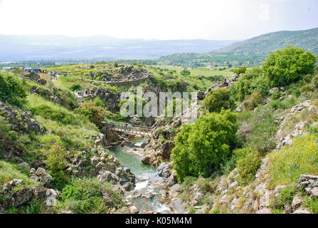 saar stream  - nature in israel Stock Photo