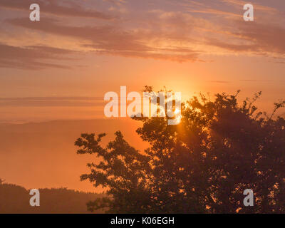 Pilsden Pen, Dorset, UK. 22nd Aug 2017. UK Weather. Beautiful foggy and misty start to the day in west Dorset viewed from the seconf highes point in Dorset. Credit: DTNews/Alamy Live News Stock Photo