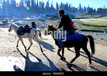 Cowboys riding on their horses at Gulmarg, India. Majestic, adventure. Stock Photo