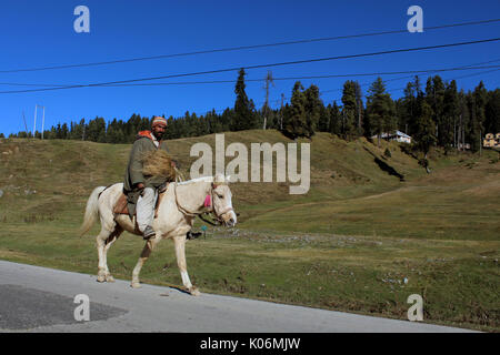 Cowboys riding on their horses at Gulmarg, India. Majestic, adventure. Stock Photo