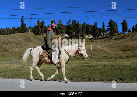 Cowboys riding on their horses at Gulmarg, India. Majestic, adventure. Stock Photo