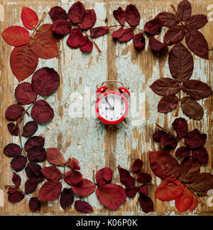 Flat lay frame of autumn crimson leaves with red alarm clock on a blue wooden background. Selective focus. Stock Photo