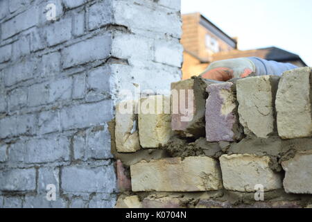 Male worker laying bricks Stock Photo