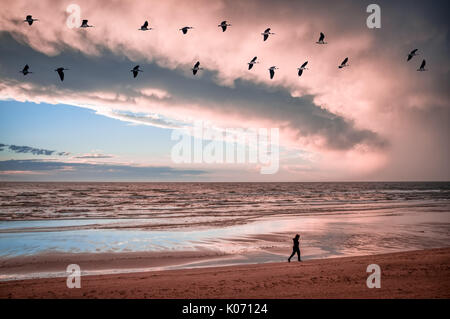 Lonely woman silhouette walking on empty ocean beach at sunset and flock of birds in the sky Stock Photo