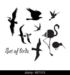 Set of silhouettes of birds symbols on white background Stock Vector