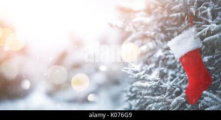 Christmas stocking on fir tree Stock Photo