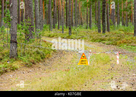 Flesberg, Norway - August 14, 2017: Travel documentary of closed road in forest. Chain hang over road with warning of ongoing hunting. Pine tree fores Stock Photo