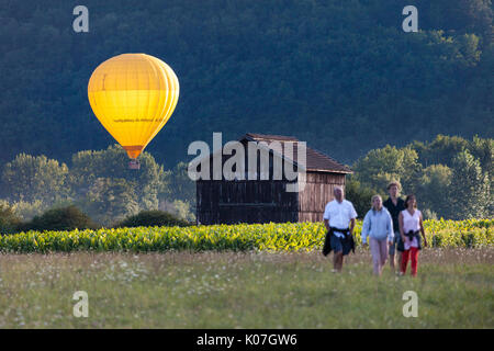 People Walking Across a Field with a Hot Air Balloon Illuminated by the Setting Sun Behind, Dordogne, France, Europe. Stock Photo