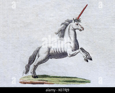 Unicorn, hand-colored copper engraving from children's picture book by Friedrich Justin Bertuch, Weimar, 1792 Stock Photo