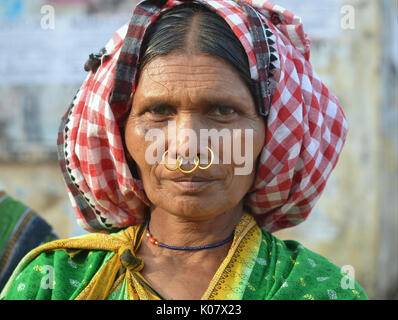 Elderly Indian Adivasi woman with three golden nose rings poses for the camera. Stock Photo