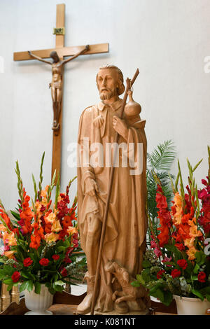 Carved wood statue of Saint Roch with plague bubo on thigh and dog with bread that saved him in Catholic church sanctuary with crucifix Stock Photo