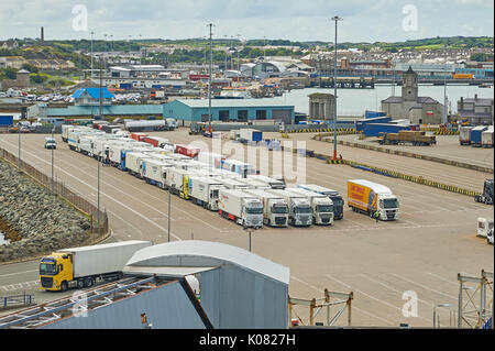 Lines of HGV's waiting on the quayside at Holyhead waiting to be loaded onto an Irish Sea ferry. Stock Photo