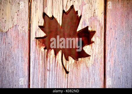 Canadian Maple Leaf on textured background Stock Photo