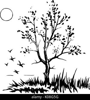 Tree silhouette sketch Stock Vector