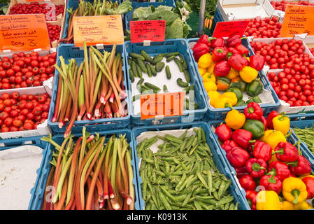 Rhubarbs (Rheum), peas (Pisum), cucumbers (Cucumis sativus) and sweet peppers (Capsicum) Stock Photo
