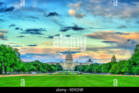 The United States Capitol on the National Mall in Washington, DC Stock Photo