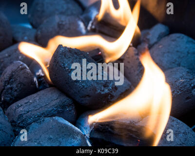 Charcoal Briquettes in a barbecue with lit firelighters Stock Photo