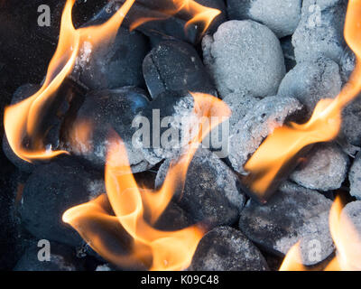 Charcoal Briquettes in a barbecue with lit firelighters Stock Photo