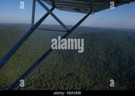 Ultra light aircraft flying over the Atlantic Rainforest Stock Photo