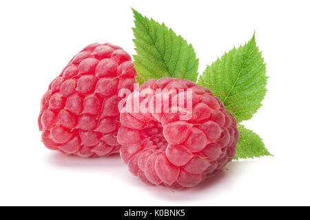 Closeup of ripe raspberries with leaves isolated on the white background, clipping path included. Stock Photo
