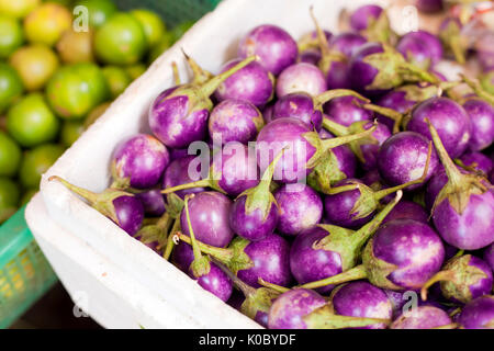 Fresh thai purple eggplants & limes on display Stock Photo