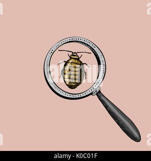 Beetle under the Magnify glass and virus or lady bug. Insect icon. engraved hand drawn in old sketch and vintage symbols. Stock Vector