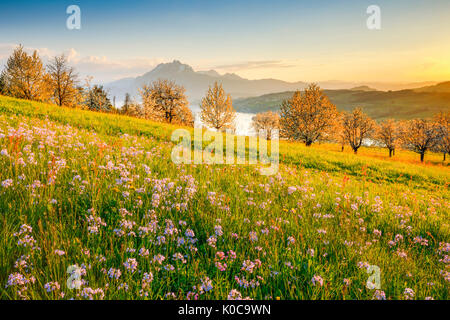 Aussicht auf Pilatus und Vielwaldstättersee, Schweiz Stock Photo