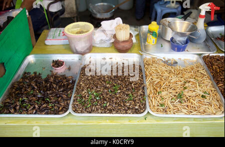 Fried Crickets and bugs for sale on a Thai market stall, Phuket , Thailand Stock Photo