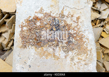 Dendrite minerals on limestone rocks of Solnhofen. full frame backgrounds Stock Photo