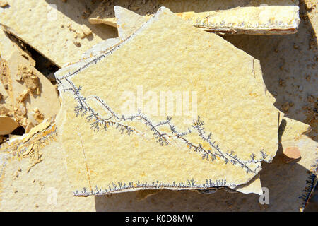 Dendrite minerals on limestone rocks of Solnhofen. full frame backgrounds Stock Photo