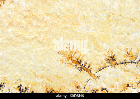 Dendrite minerals on limestone rocks of Solnhofen. full frame backgrounds Stock Photo