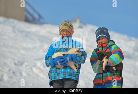 Greenland dog puppies and kids in Kulusuk, Greenland- 07 April 2013 Stock Photo