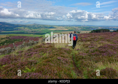 Walkers on Benarty Hill, near Ballingry, Fife, Scotland. Stock Photo