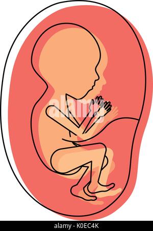 watercolor painted silhouette of side view fetus human growth in Stock ...