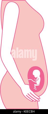 pink silhouette of side view pregnancy process in female body fetus human growth trimestrer Stock Vector