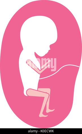 pink silhouette of side view fetus human growth in placenta trimestrer Stock Vector